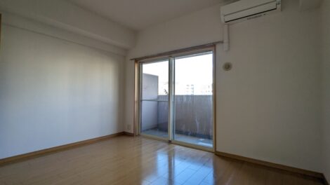 PXL_20231107_064348187