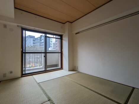 PXL_20240324_013704078