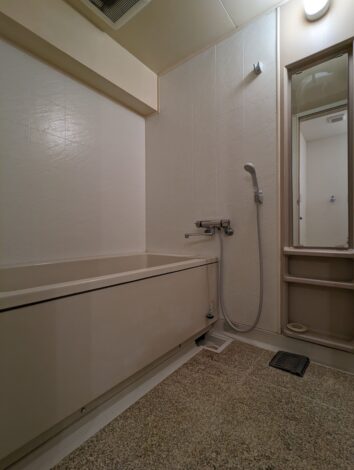 PXL_20240324_013233836