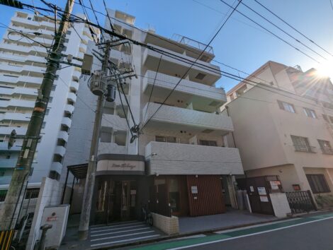 PXL_20231102_055332828